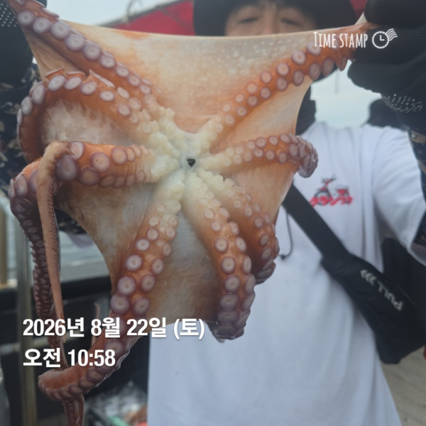 공현진낚시마트(돌핀호)_사진_20260822_8.jpg