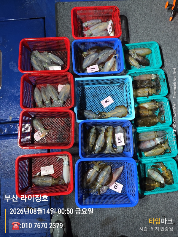2026-08-14 00.50.02__(제목-부산 라이징호)_(-010 7670 2379).jpg