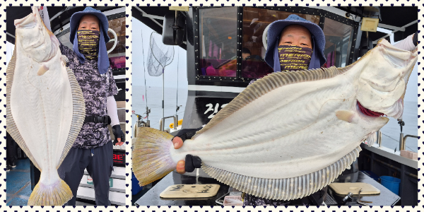 collage5.png