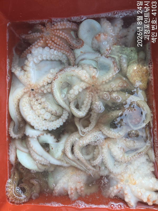 KakaoTalk_20260825_101906677_07.jpg