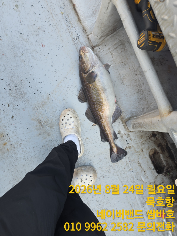TimePhoto_20260824_080620.jpg