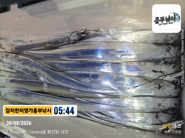 2026-08-30 05.44.26__(제목-갈치한치명가흥부낚시).jpg