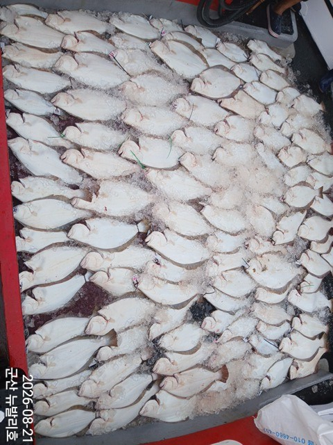 KakaoTalk_20260821_152404820_05.jpg