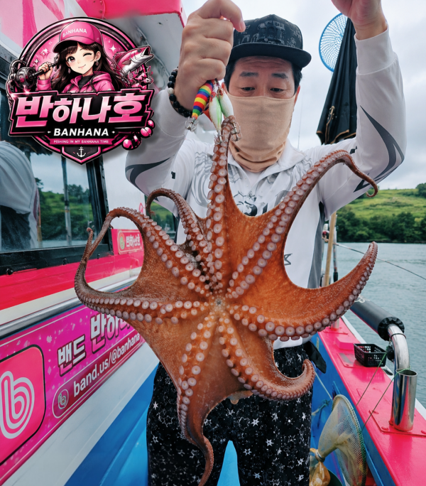 file_000000001fe4820b90f764452f3d54d8(1)(1).png