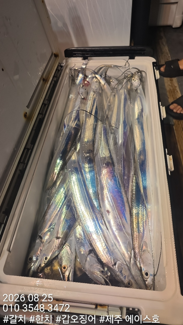 KakaoTalk_20260825_094700454_08.jpg