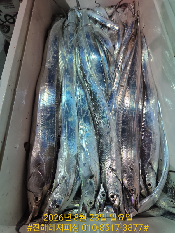 1000101552.jpg