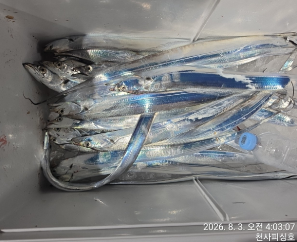 1004피싱_사진_20260803_10.jpg