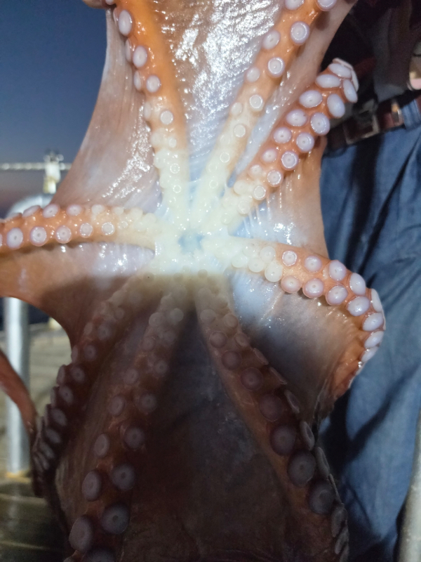 00CEBABF-1950-4C6B-A5D2-85C7BA058E0C.jpeg