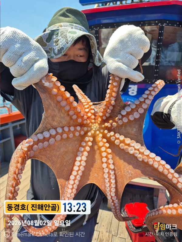 2026-08-02 13.23.04__(제목-동경호( 진해안골)).jpg