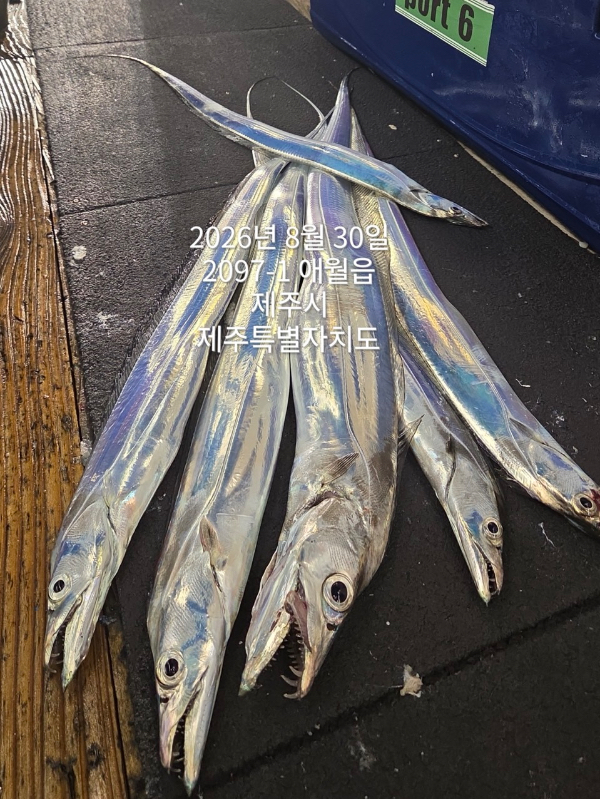 9E71A98B-F175-4E85-9076-E9F7D35D6E9A.jpeg