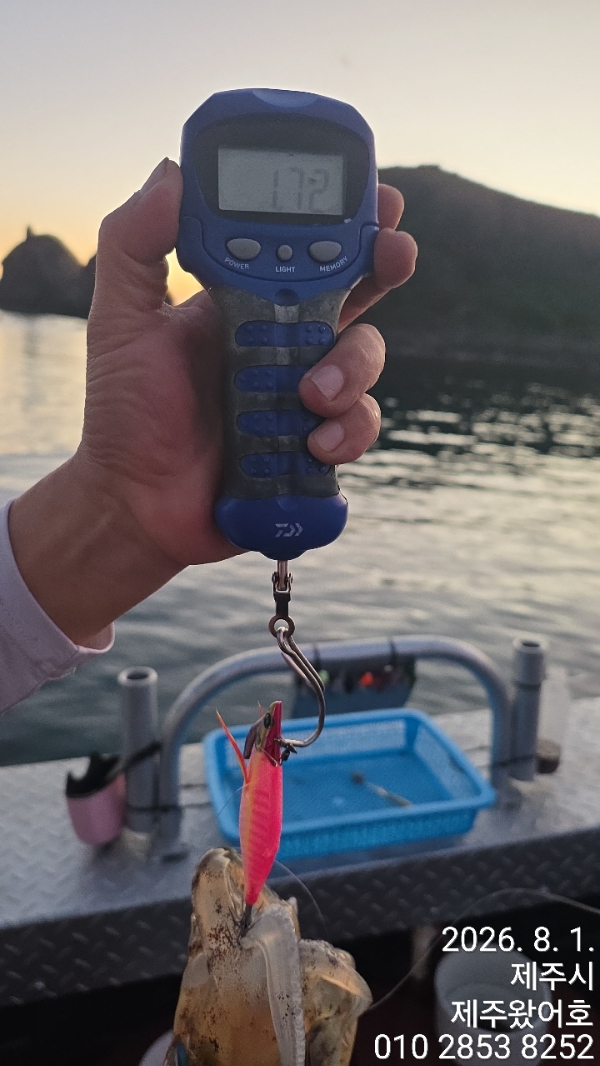 제주왔어호_사진_20260802_3.jpg