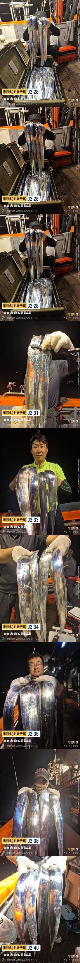 준내만갈치 26-8-1-2.jpg