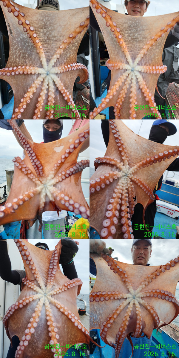 Resized_IMG_20260816_110459-tile.jpg