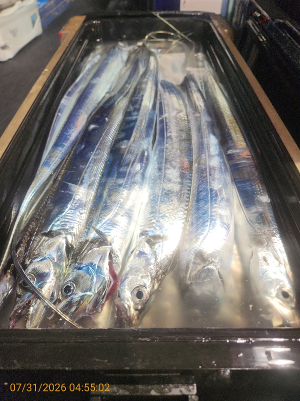 KakaoTalk_20260801_133641790_01.jpg