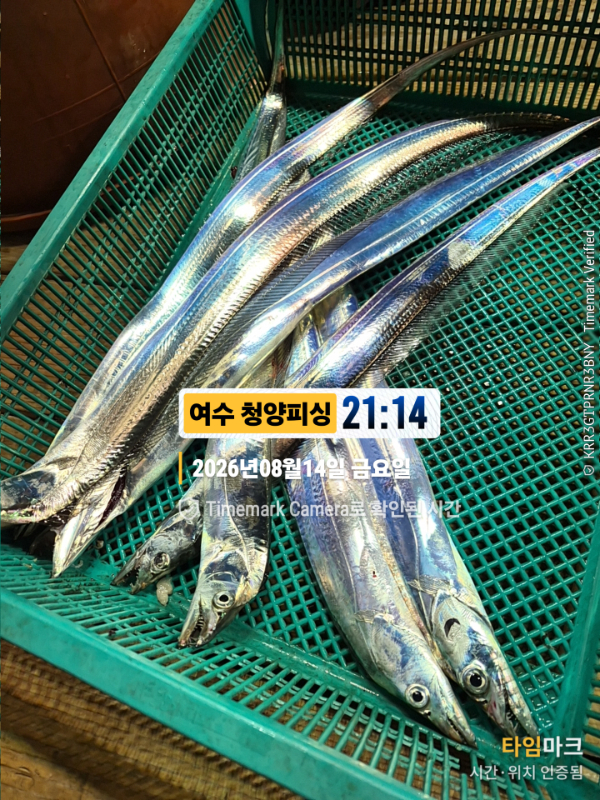 2026-08-14 21.14.03__(제목-여수 청양피싱).jpg