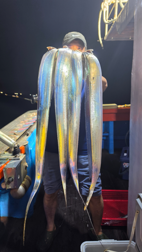 1000057370.jpg