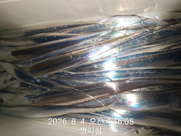1000081357.jpg