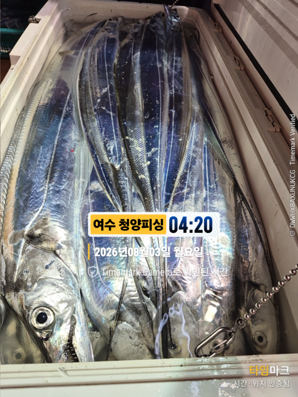 2026-08-03 04.20.44__(제목-여수 청양피싱).jpg