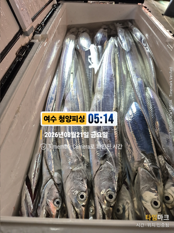 2026-08-21 05.14.51(1)__(제목-여수 청양피싱).jpg
