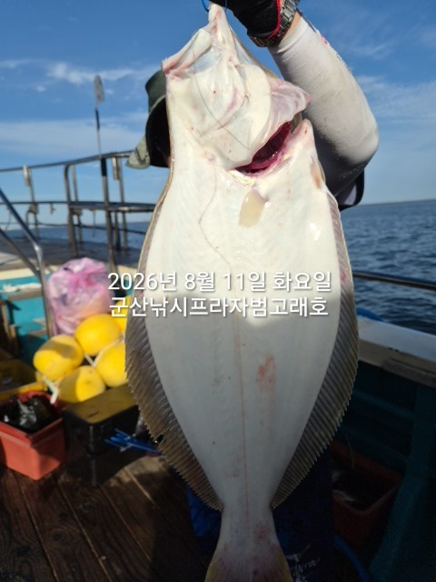 KakaoTalk_20260811_180256660_06.jpg