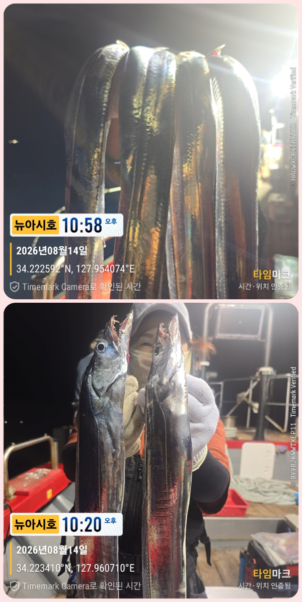 KakaoTalk_20260817_195122936_14-down.jpg