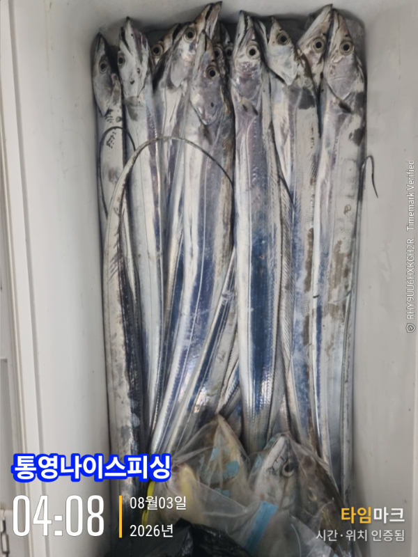2026-08-03 04.08.32__(통영나이스피싱).jpg