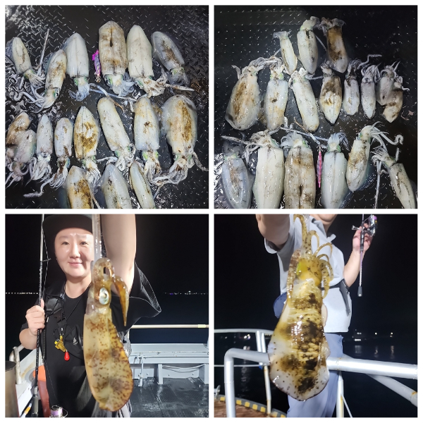 PhotoCollage_1786025235299.jpg