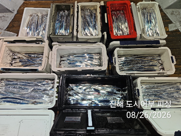 KakaoTalk_20260826_052535049_10.jpg