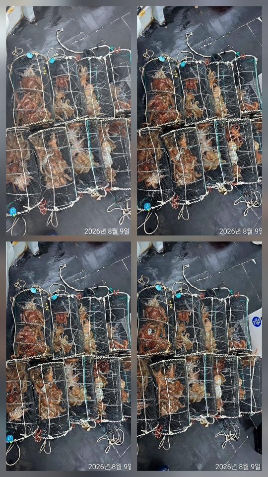 1000155996.jpg