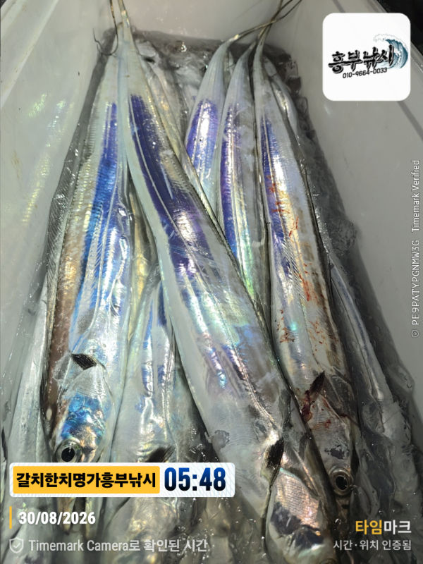 2026-08-30 05.48.25__(제목-갈치한치명가흥부낚시).jpg