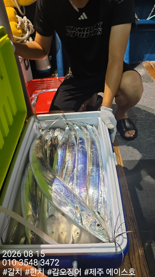 KakaoTalk_20260815_131135869_01.jpg