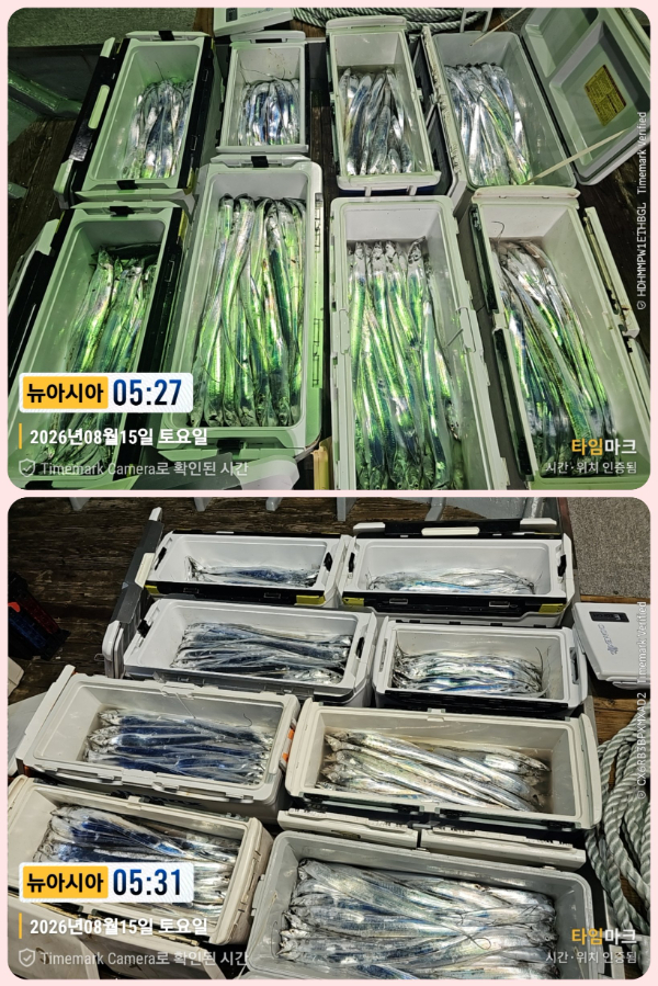 KakaoTalk_20260817_195122936_04-down.jpg