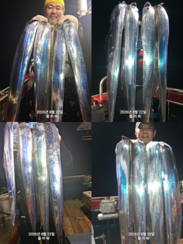 20260822_084414.jpg