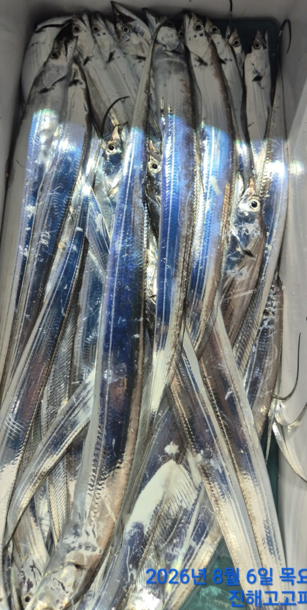 69481.jpg