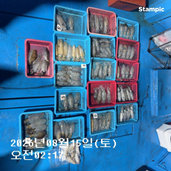 신신낚시 강구점 신신호_사진_20260815_10.jpg