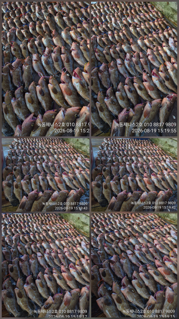 30984.jpg