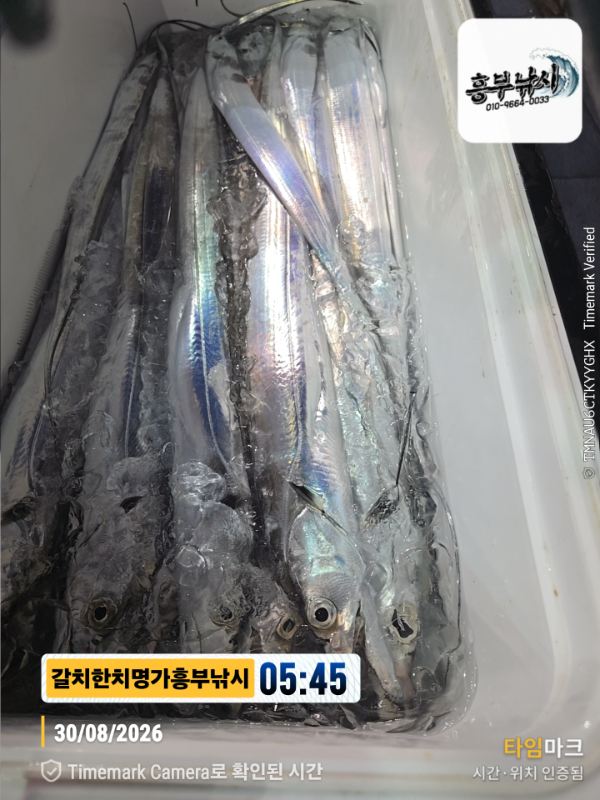 2026-08-30 05.45.35__(제목-갈치한치명가흥부낚시).jpg