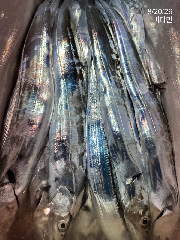 1000083469.jpg