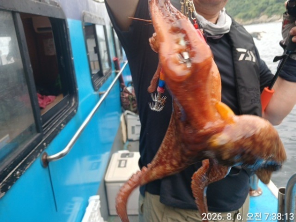 KakaoTalk_20260806_080413344_16.jpg