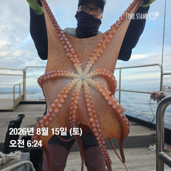 공현진낚시마트(돌핀호)_사진_20260815_1.jpg