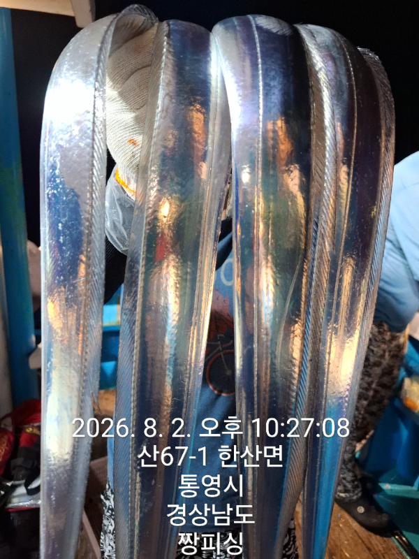 1000081308.jpg