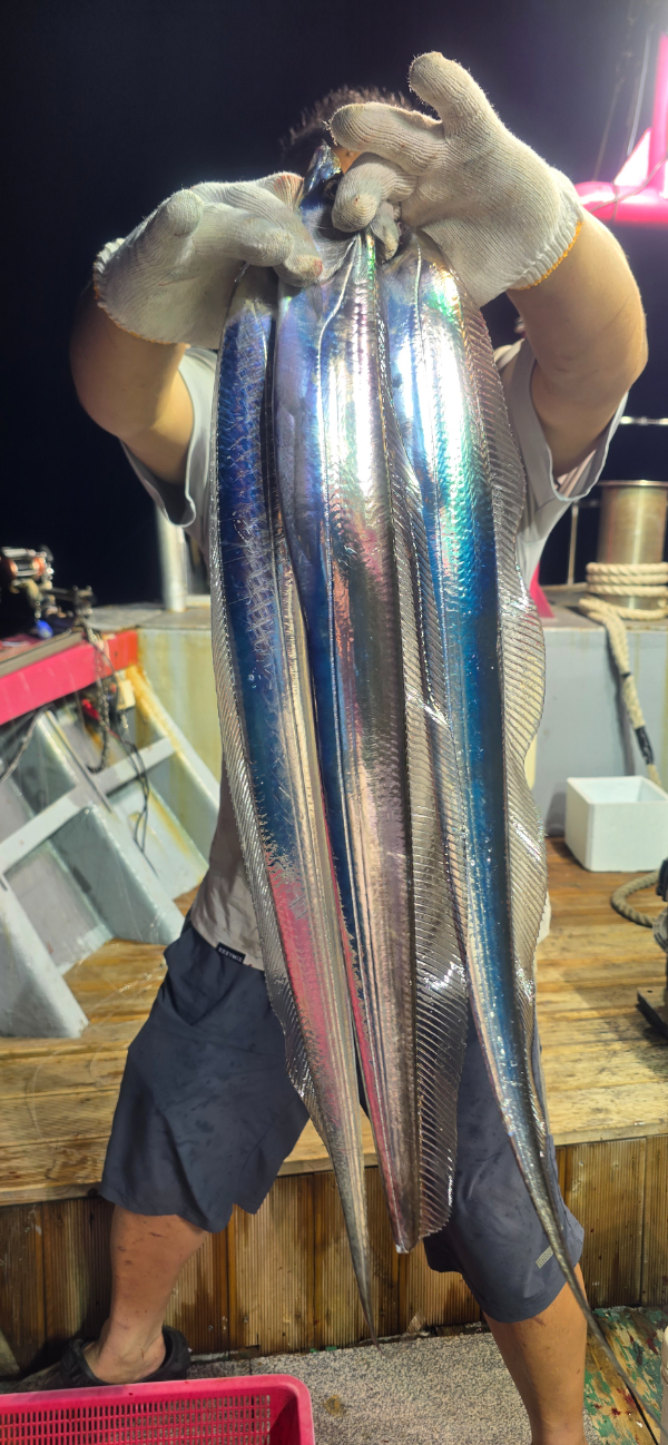 20260818_205117.jpg
