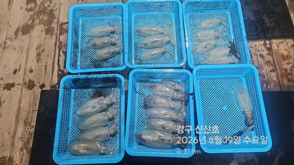 신신낚시 강구점 신신호_사진_20260820_15.jpg