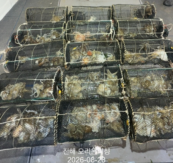 KakaoTalk_20260828_023951133.jpg