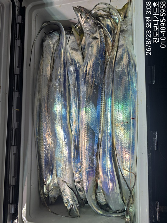 65905.jpg
