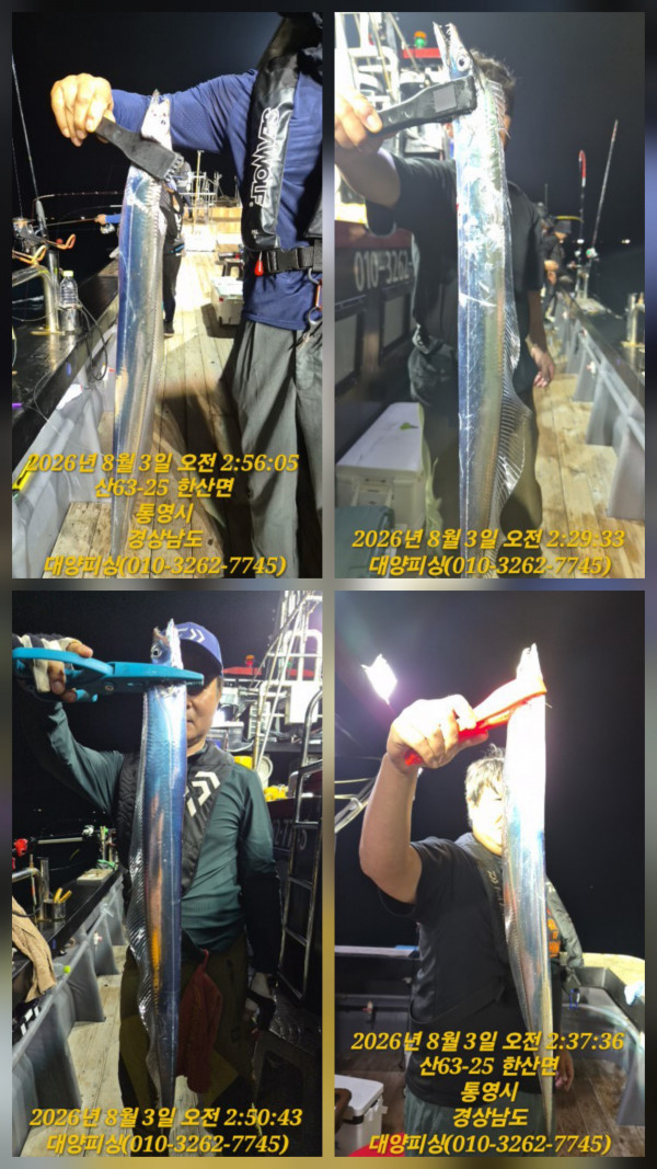 13528.jpg