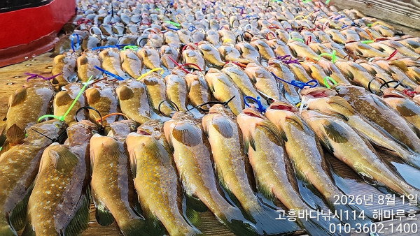 TimePhoto_20260801_144502.jpg