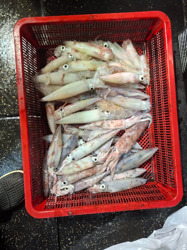 KakaoTalk_20260827_003022804_01.jpg