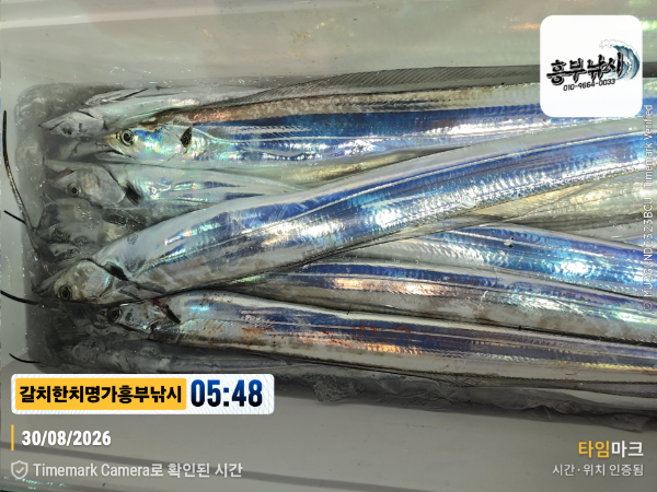 2026-08-30 05.48.17__(제목-갈치한치명가흥부낚시).jpg