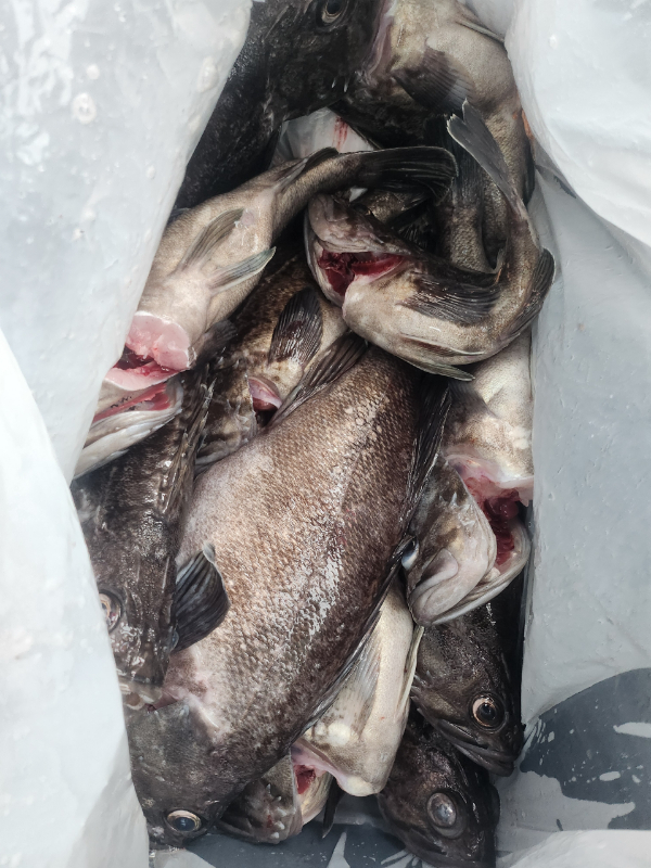 1000069674.jpg
